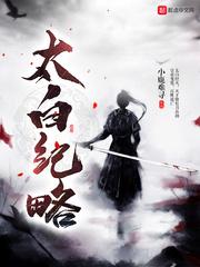 太白纪略封面