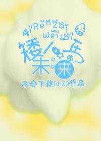 矮人在未来封面