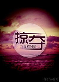 掠夺封面