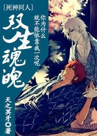 双生魂魄 cp:白黑一护封面