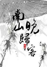 南山晚归客封面