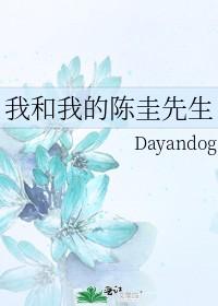 我和我的陈圭先生封面
