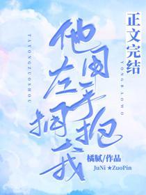 他用左手拥抱我封面