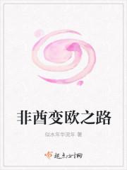 非酋变欧之路封面