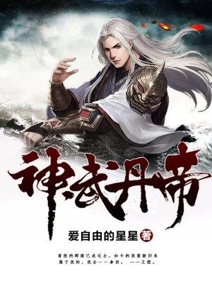 神武丹帝封面