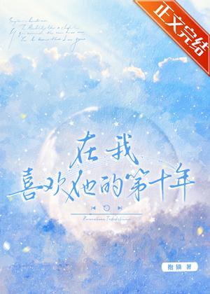 在我喜欢他的第十年封面