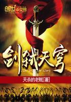剑弑天穹封面