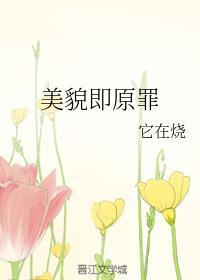 美貌即原罪封面
