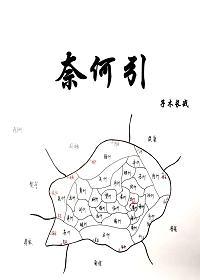 奈何引封面