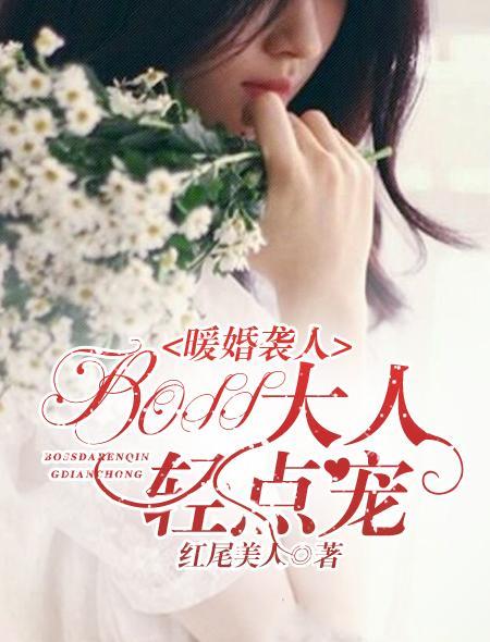 暖婚袭人，BOSS大人轻点宠封面