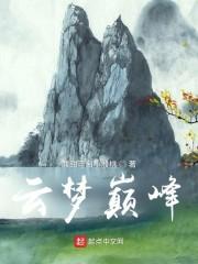 云梦巅峰封面