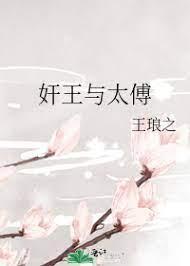 奸王与太傅封面