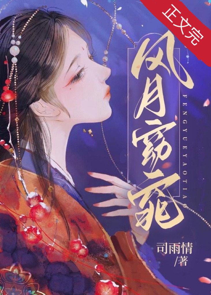 风月窈窕封面