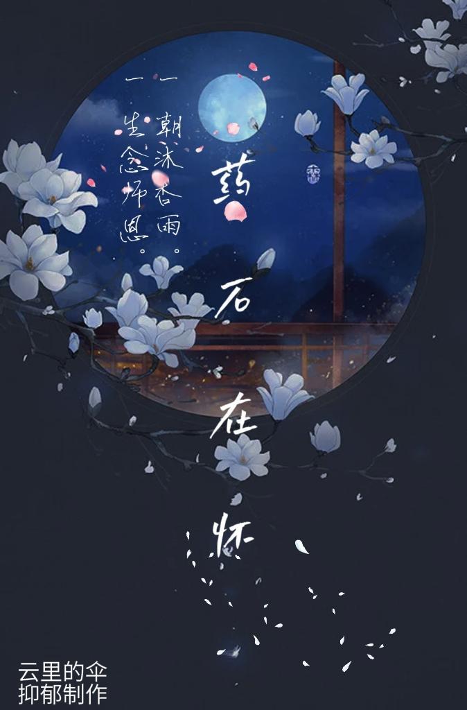 药石在怀封面