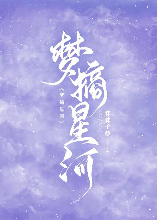 梦摘星河封面