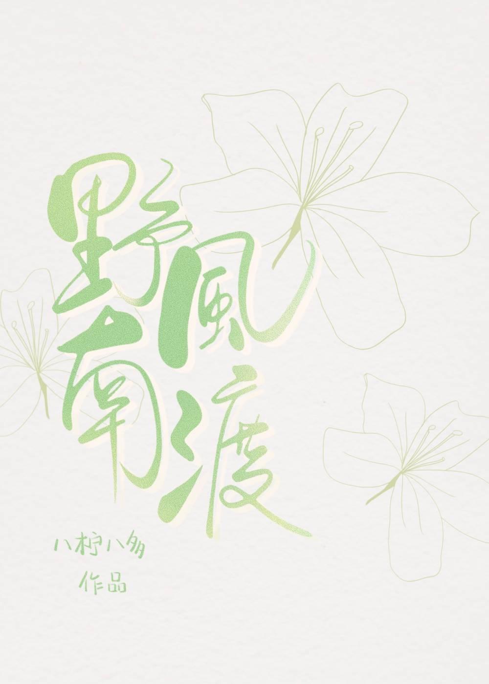 野风南渡封面