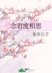 念君度相思封面