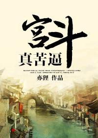 宫斗真苦逼封面