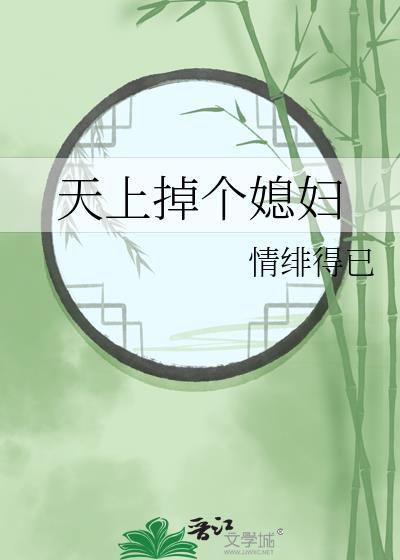 天上掉个媳妇封面