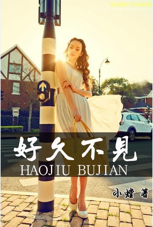 好久不见封面