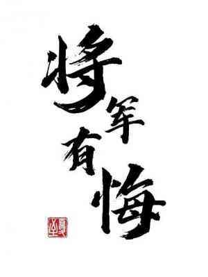 将军有悔封面