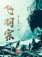 飞羽宗封面
