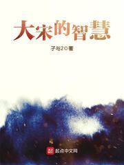 大宋的智慧封面