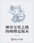 神奇宝贝之我的师傅是坂木封面
