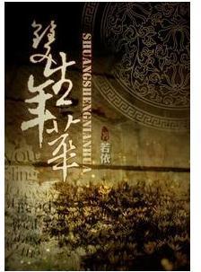 双生年华封面