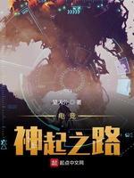 电竞神起之路封面