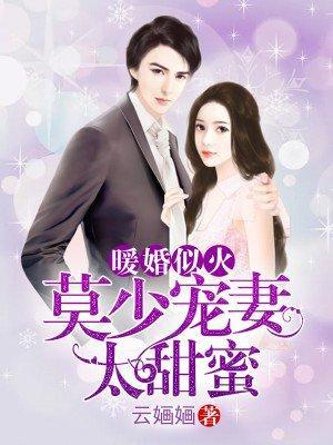 暖婚似火：莫少宠妻太甜蜜封面