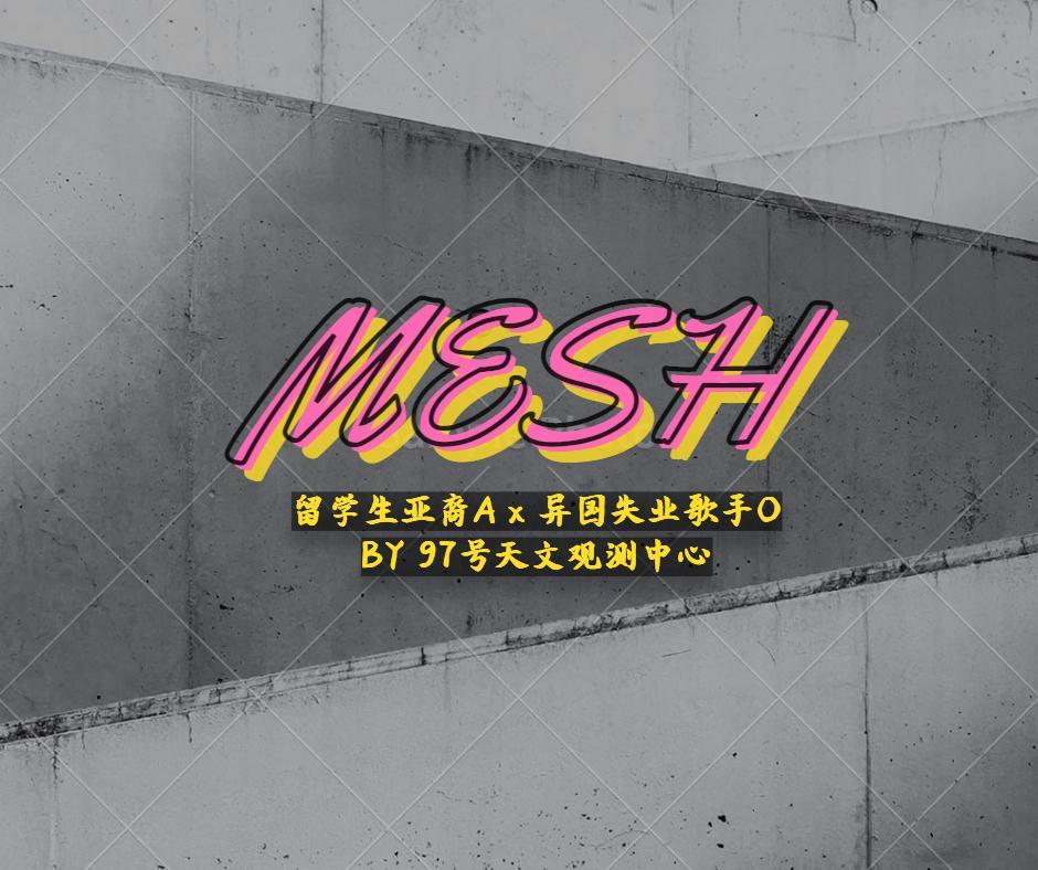 Mesh封面
