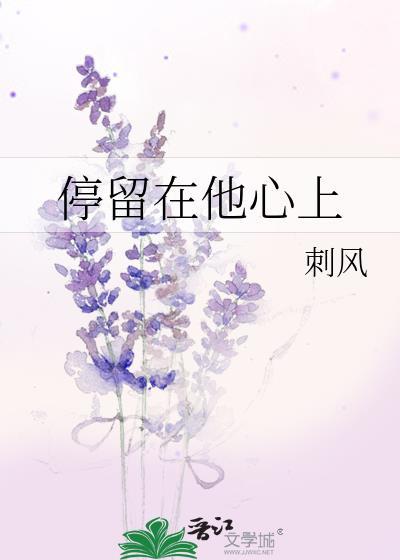 停留在他心上封面