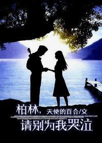 柏林,请别为我哭泣封面