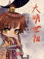 大明世祖封面