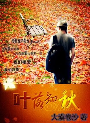 叶落知秋封面