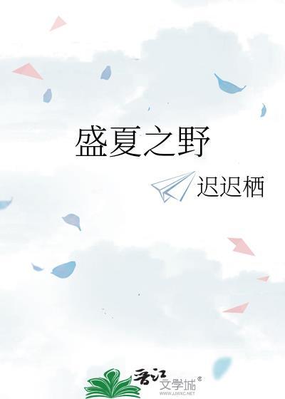盛夏之野封面
