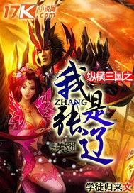 纵横三国之我是张辽封面