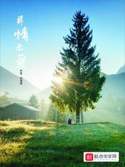 葬情示爱封面
