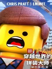 穿越世界的拼装大师封面