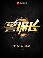 警探长封面