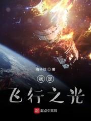 我是飞行之光封面