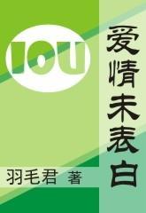 爱情未表白封面