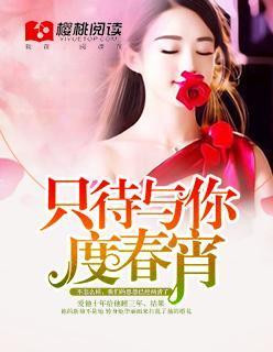 只待与你度春宵封面