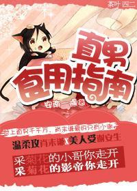 直男食用指南封面