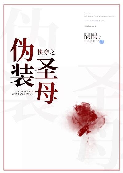 圣母系统封面