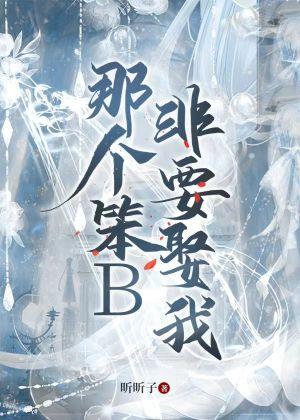那个笨B非要娶我封面