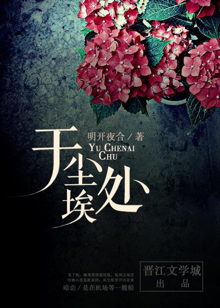于尘埃处封面