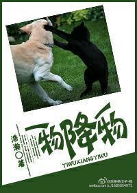 一物降一物封面