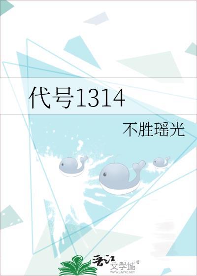 代号1314封面
